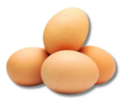 Chicken Eggs (Layer) 4pcs