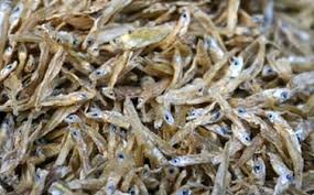 Kachki Dry Fish (কাচকি শুঁটকি) 250gm